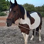 Σπίτι διακοπών Hvar Mediterranean Ranch House *