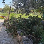 Hvar Mediterranean Ranch House