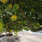 Hvar Mediterranean Ranch House Σπίτι διακοπών