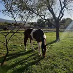 Σπίτι διακοπών Hvar Mediterranean Ranch House Stari Grad (Hvar)