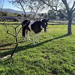 Hvar Mediterranean Ranch House Σπίτι διακοπών