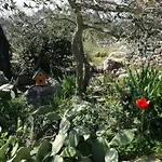 Hvar Mediterranean Ranch House Σπίτι διακοπών