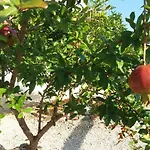 Σπίτι διακοπών Hvar Mediterranean Ranch House *