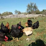 Hvar Mediterranean Ranch House Σπίτι διακοπών Stari Grad (Hvar)