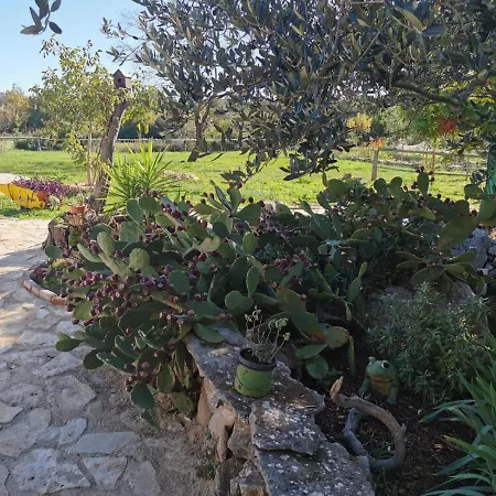 Hvar Mediterranean Ranch House