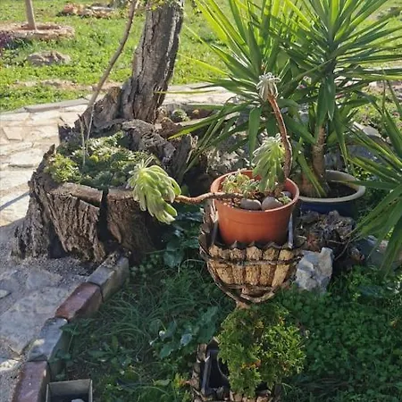 Hvar Mediterranean Ranch House Semesterbostad *