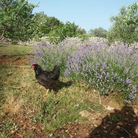 Holiday home Hvar Mediterranean Ranch House *