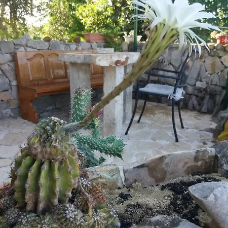 Holiday home Hvar Mediterranean Ranch House *