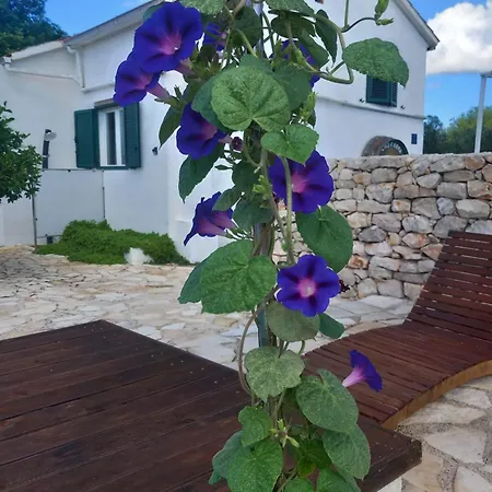 Hvar Mediterranean Ranch House Stari Grad (Hvar)