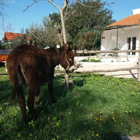 Hvar Mediterranean Ranch House Casa de Férias