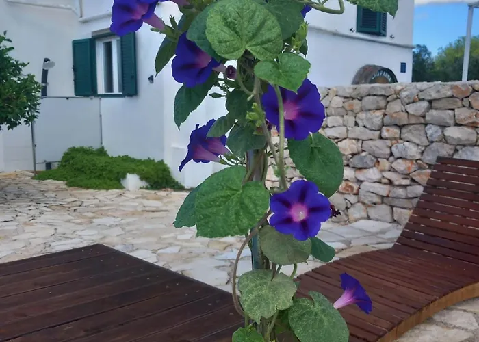 Hvar Mediterranean Ranch House Стари Град