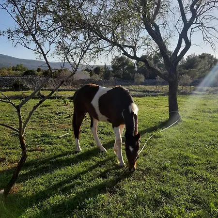 Semesterbostad Hvar Mediterranean Ranch House Stari Grad (Hvar)