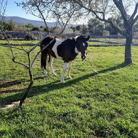 Hvar Mediterranean Ranch House Semesterbostad