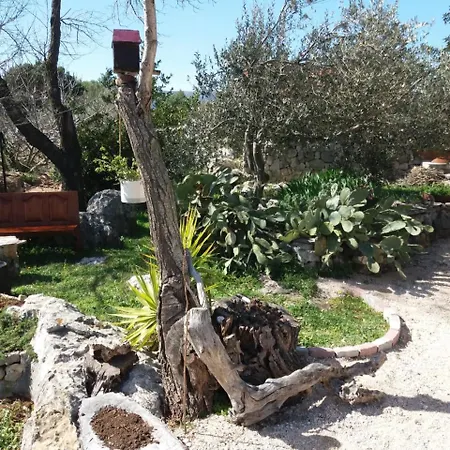 Hvar Mediterranean Ranch House *