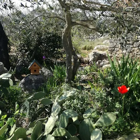 Hvar Mediterranean Ranch House Semesterbostad