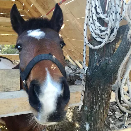 Hvar Mediterranean Ranch House