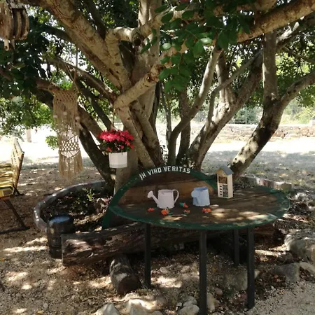 Hvar Mediterranean Ranch House Semesterbostad