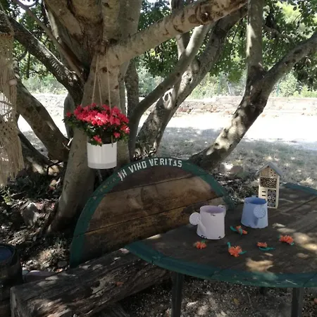 Semesterbostad Hvar Mediterranean Ranch House Stari Grad (Hvar)