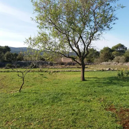 Hvar Mediterranean Ranch House