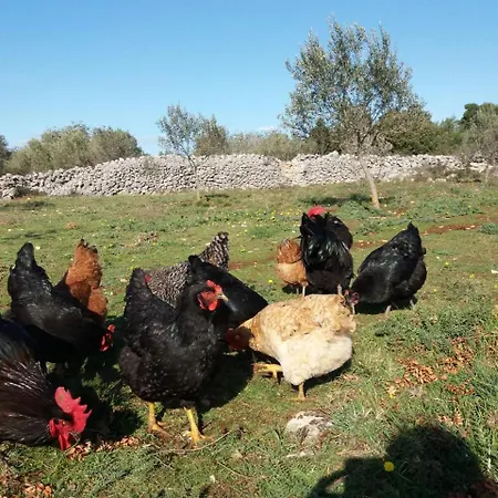 Hvar Mediterranean Ranch House Semesterbostad Stari Grad (Hvar)