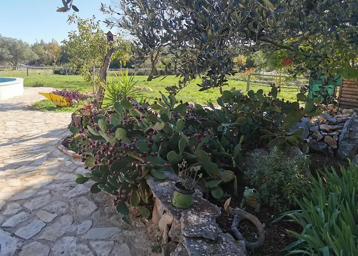Hvar Mediterranean Ranch House