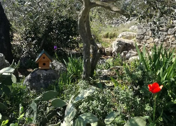 Hvar Mediterranean Ranch House Hébergement de vacances