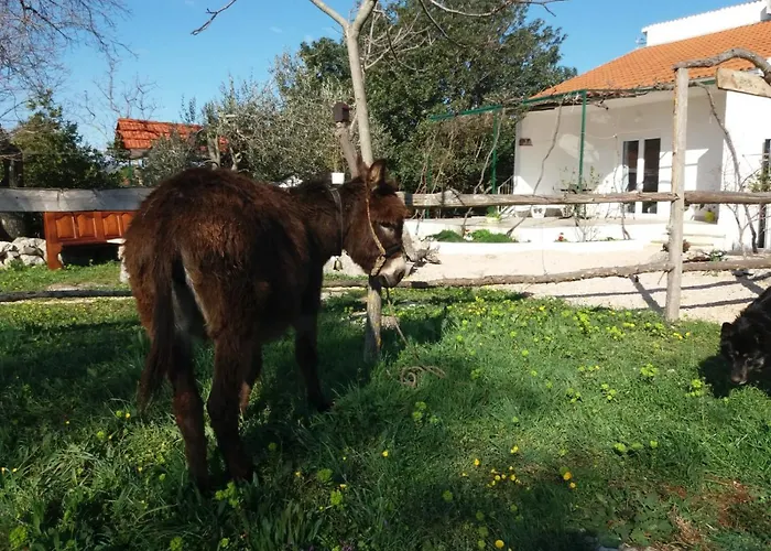 Hvar Mediterranean Ranch House Hébergement de vacances