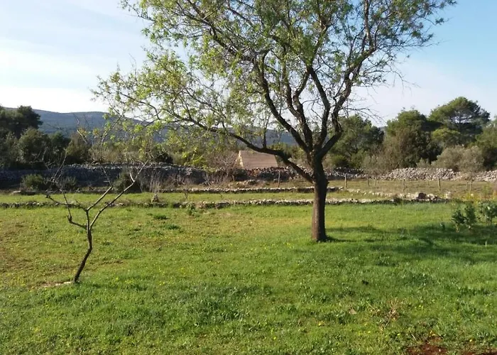 Hvar Mediterranean Ranch House